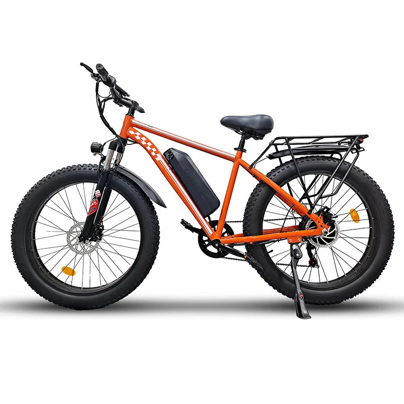 Electric Fat Tire Bike 1000W 48V 15Ah Disc Brake Ebike