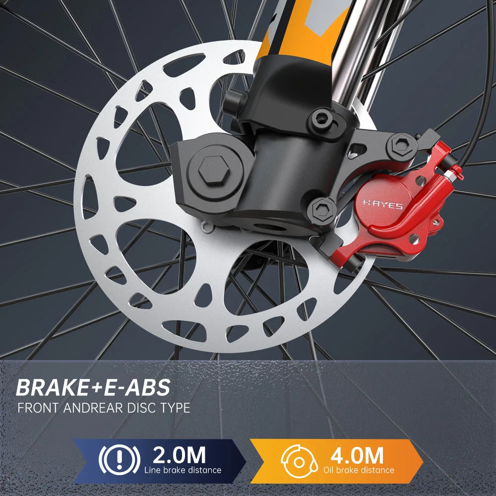 Dual 20Ah Battery 2900W 52V Electric Mountain Bike Off Road