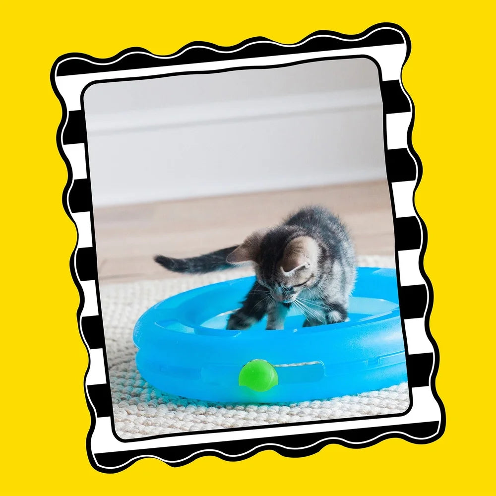Crazy Circle Cat Toy For Interactive And Solo Play
