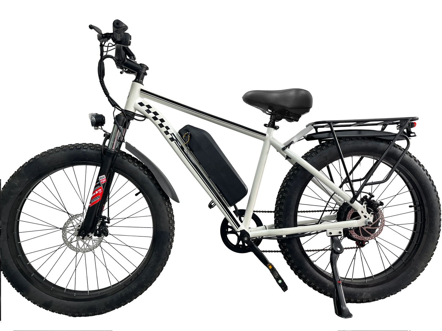 Electric Fat Tire Bike 1000W 48V 15Ah Disc Brake Ebike