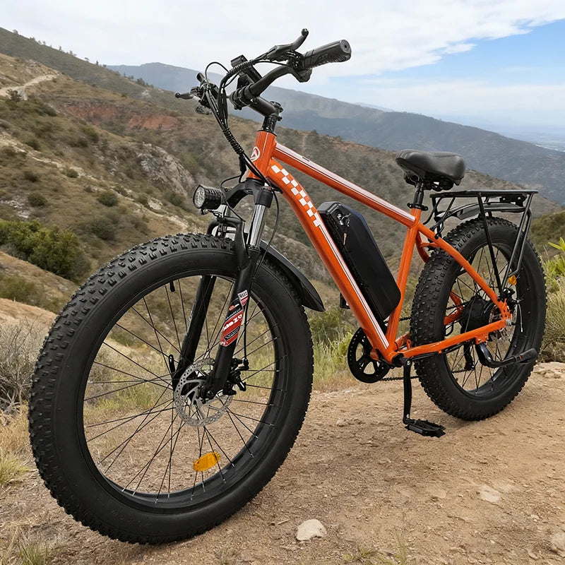 Electric Fat Tire Bike 1000W 48V 15Ah Disc Brake Ebike