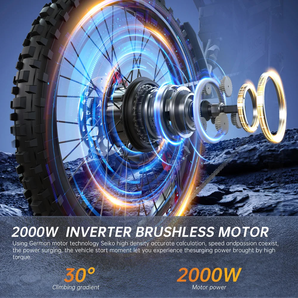 Dual 20Ah Battery 2900W 52V Electric Mountain Bike Off Road