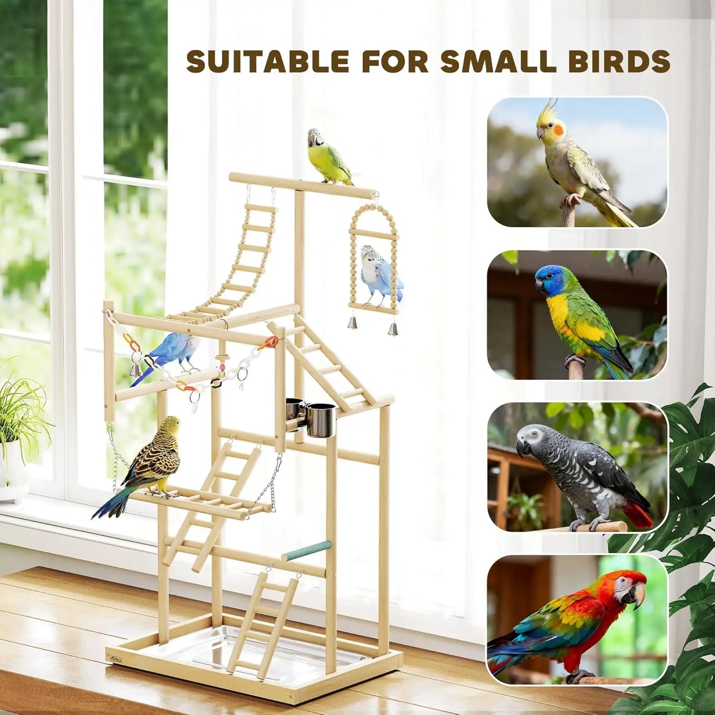 Bird Playground, 4 Layer Wooden Parrot Play Stand with Ladders, Chain Toy, Stainless Steel Cups and Tray, Bird Cage, Customized