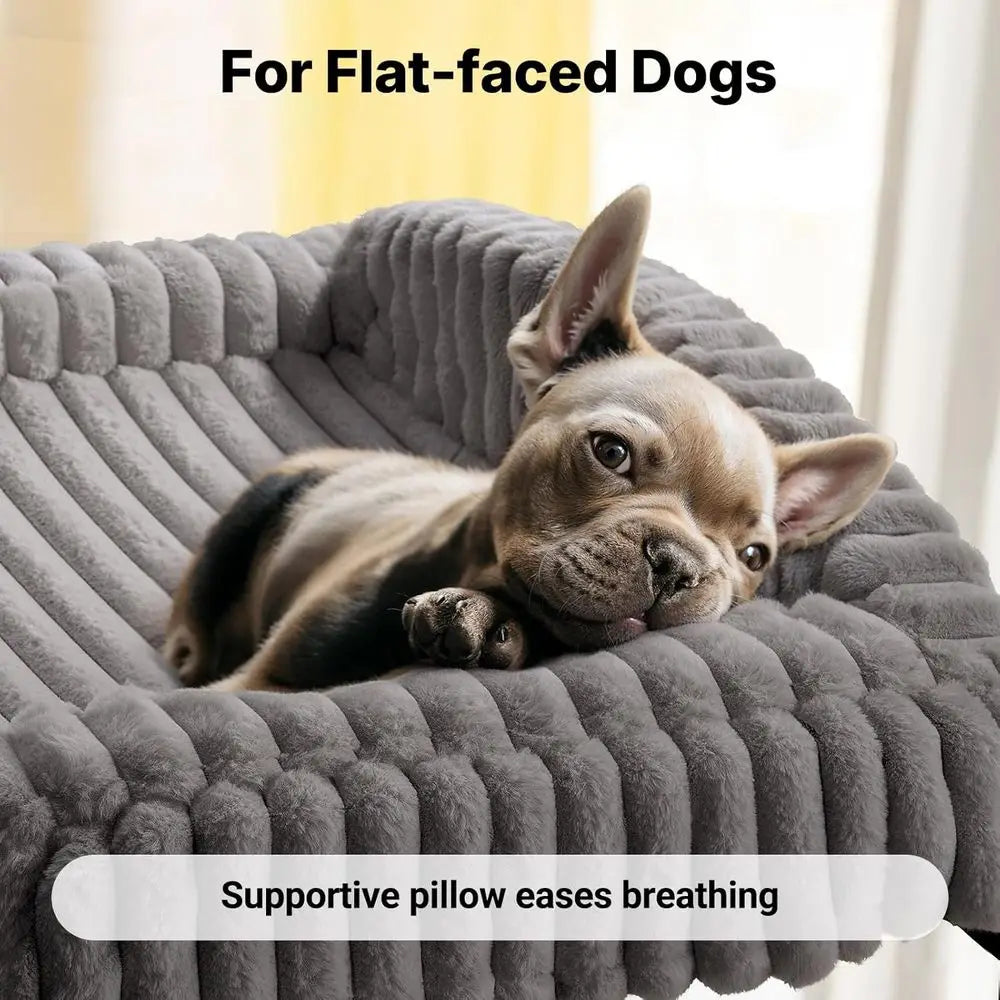 Elevated Dog Bed with Bolster Cushion, Plush Dog Couch Beds for Small Dogs, Washable Raised Pet Cot with Non-Slip Feet for Indoo