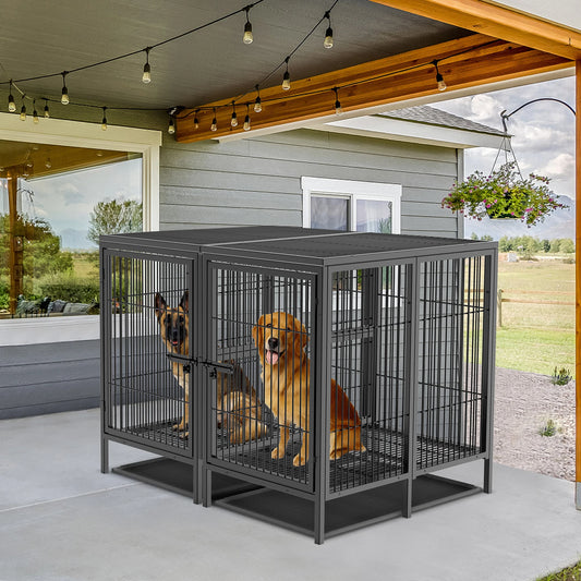 BINGOPAW Heavy Duty Dog Crate With Removable Divider