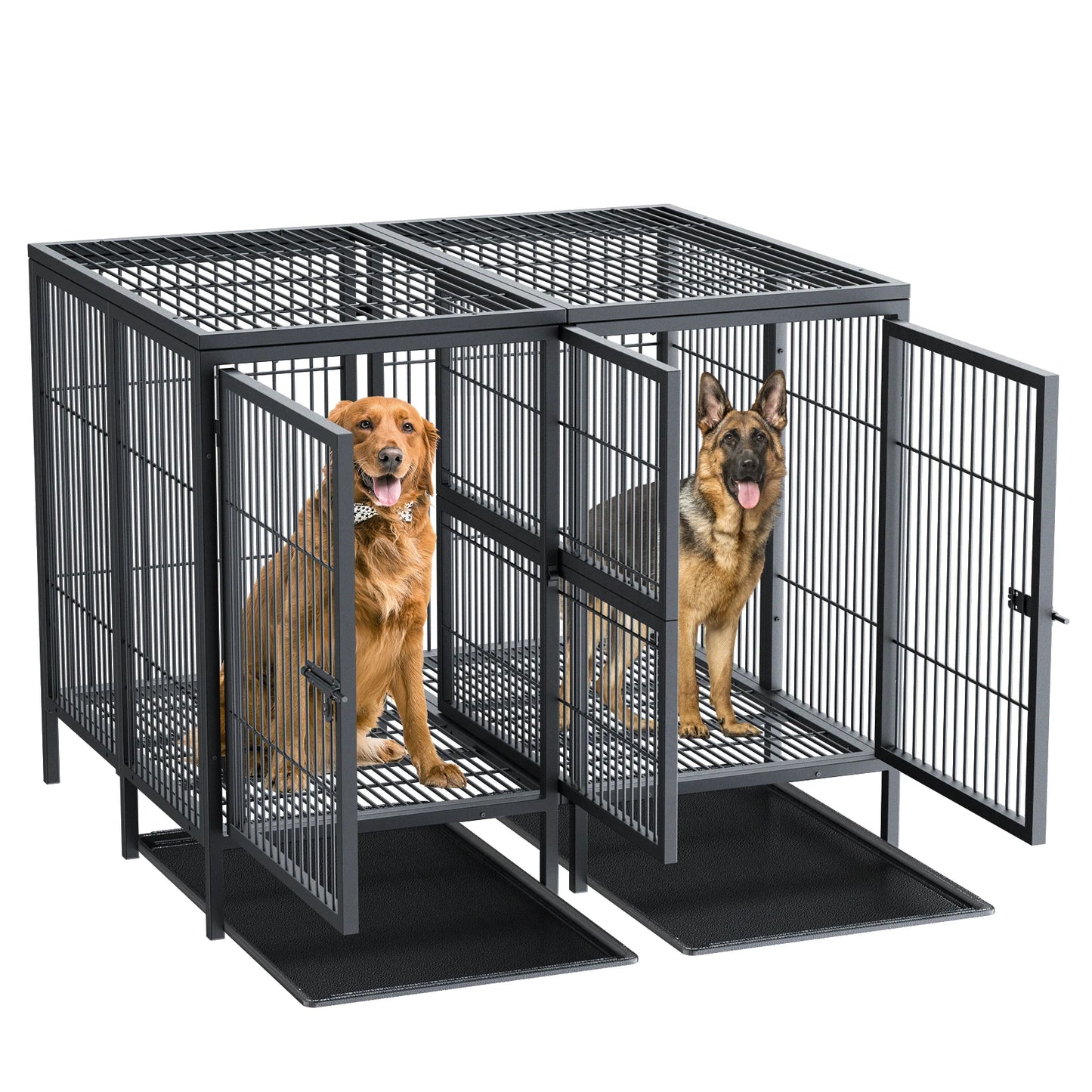 BINGOPAW Heavy Duty Dog Crate With Removable Divider
