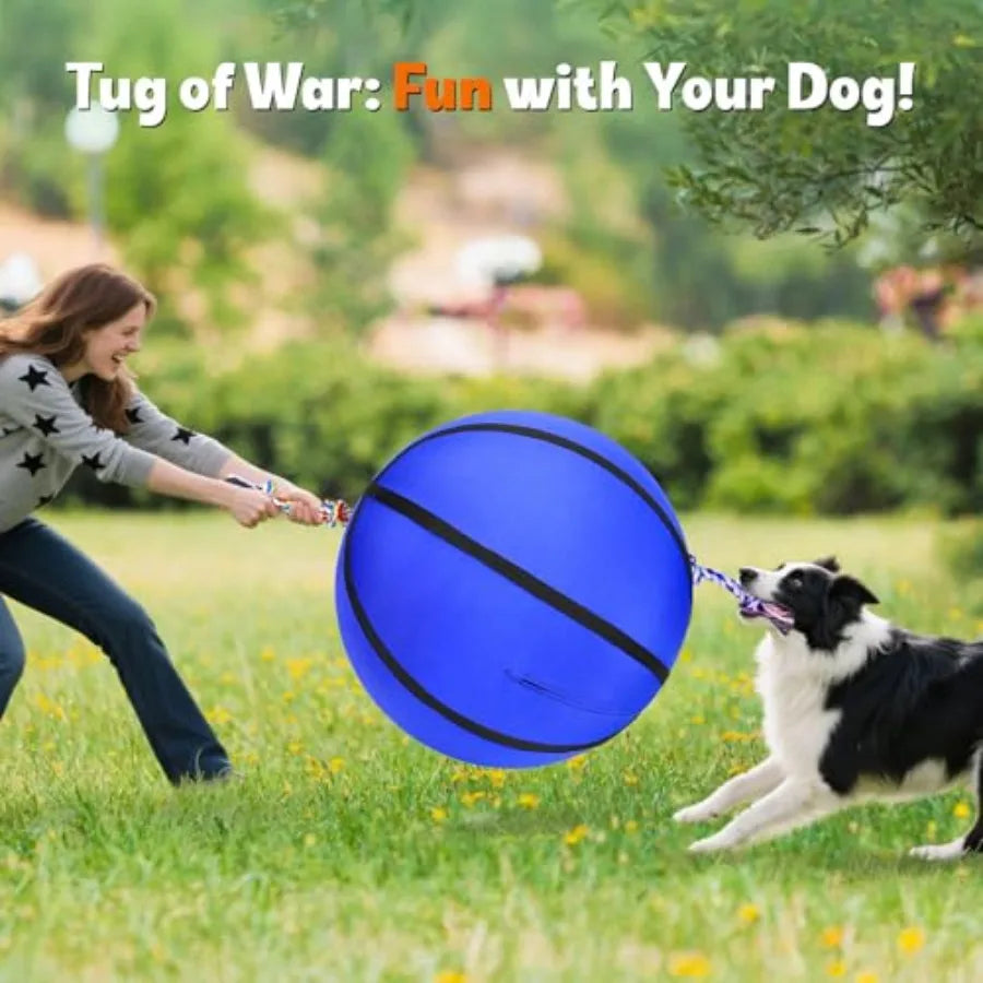 25" Herding Ball for Dogs Upgrade and Reinforce Medium to Large Dog Training Toys for Australian Shepherd Horse Balls with Gnaw