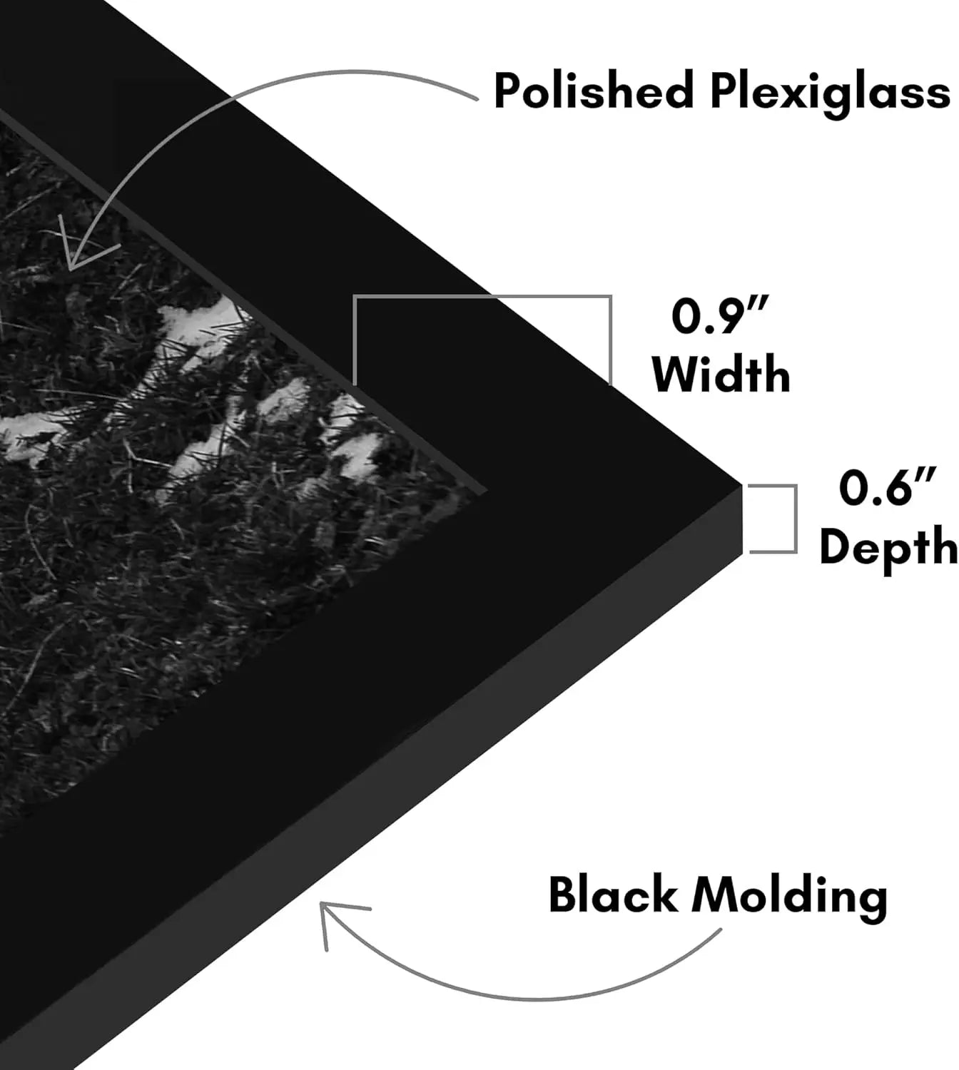 Set Of Five Poster Frames With Durable Polished Plexiglass Display