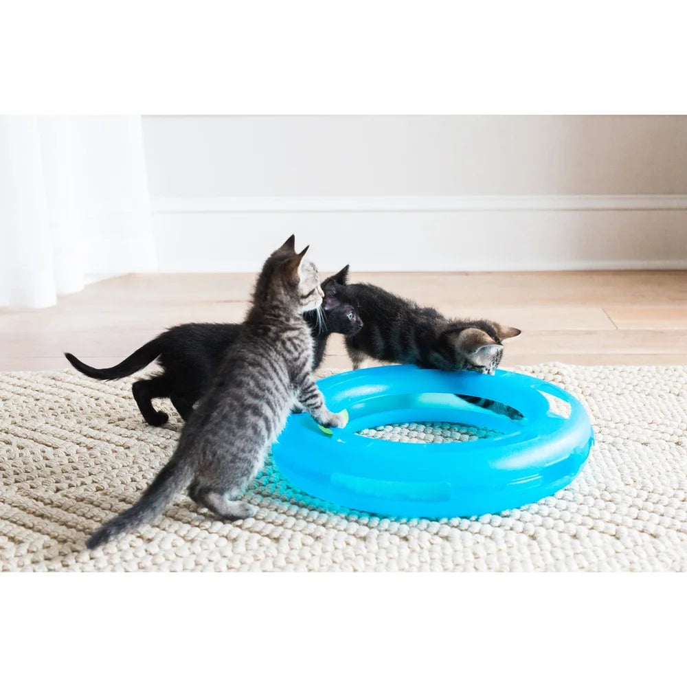 Crazy Circle Cat Toy For Interactive And Solo Play