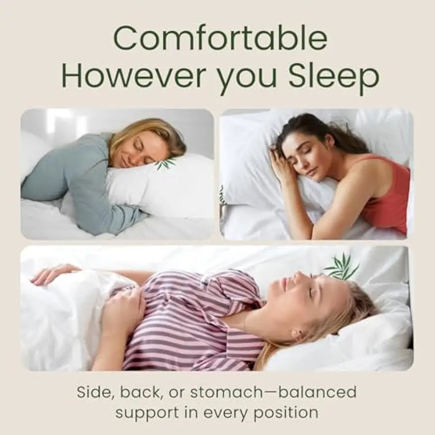 Shredded Memory Foam Pillows Set of 2 with Bamboo Cover