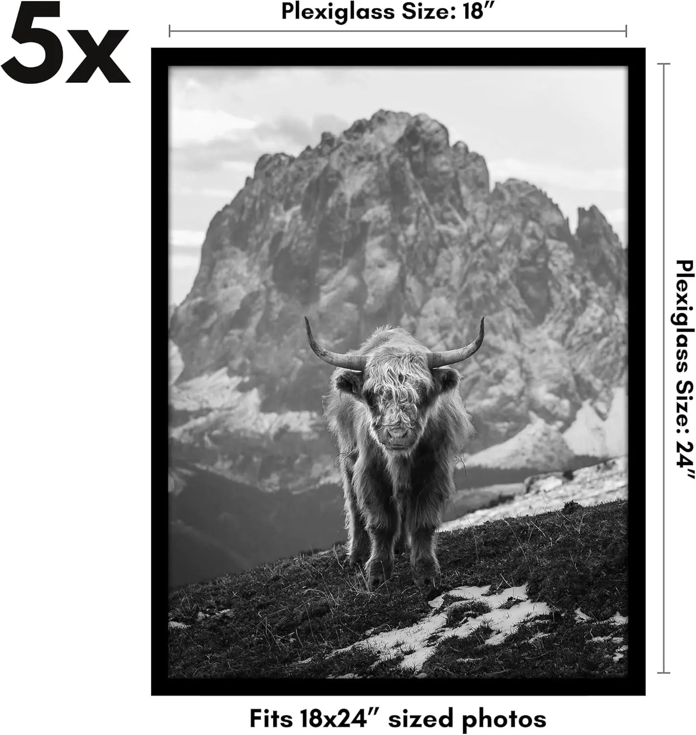 Set Of Five Poster Frames With Durable Polished Plexiglass Display