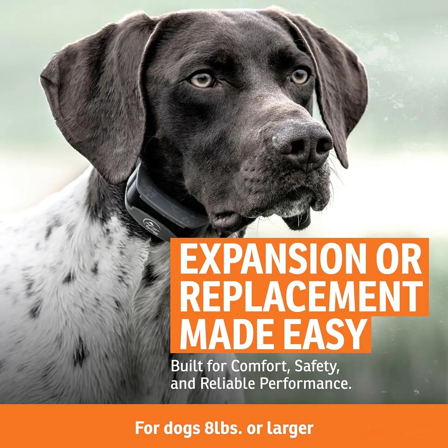 Brand FieldTrainer 425XS Add-A-Dog Collar for Stubborn Dogs - Additional, Replacement, or Extra Collar for Your Remote