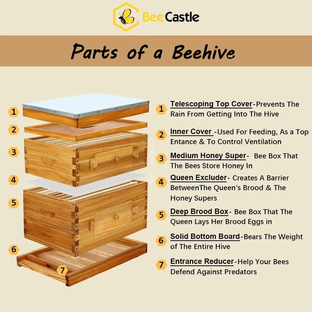 8 Frame Langstroth Beehive Starter Kit With Waxed Foundations
