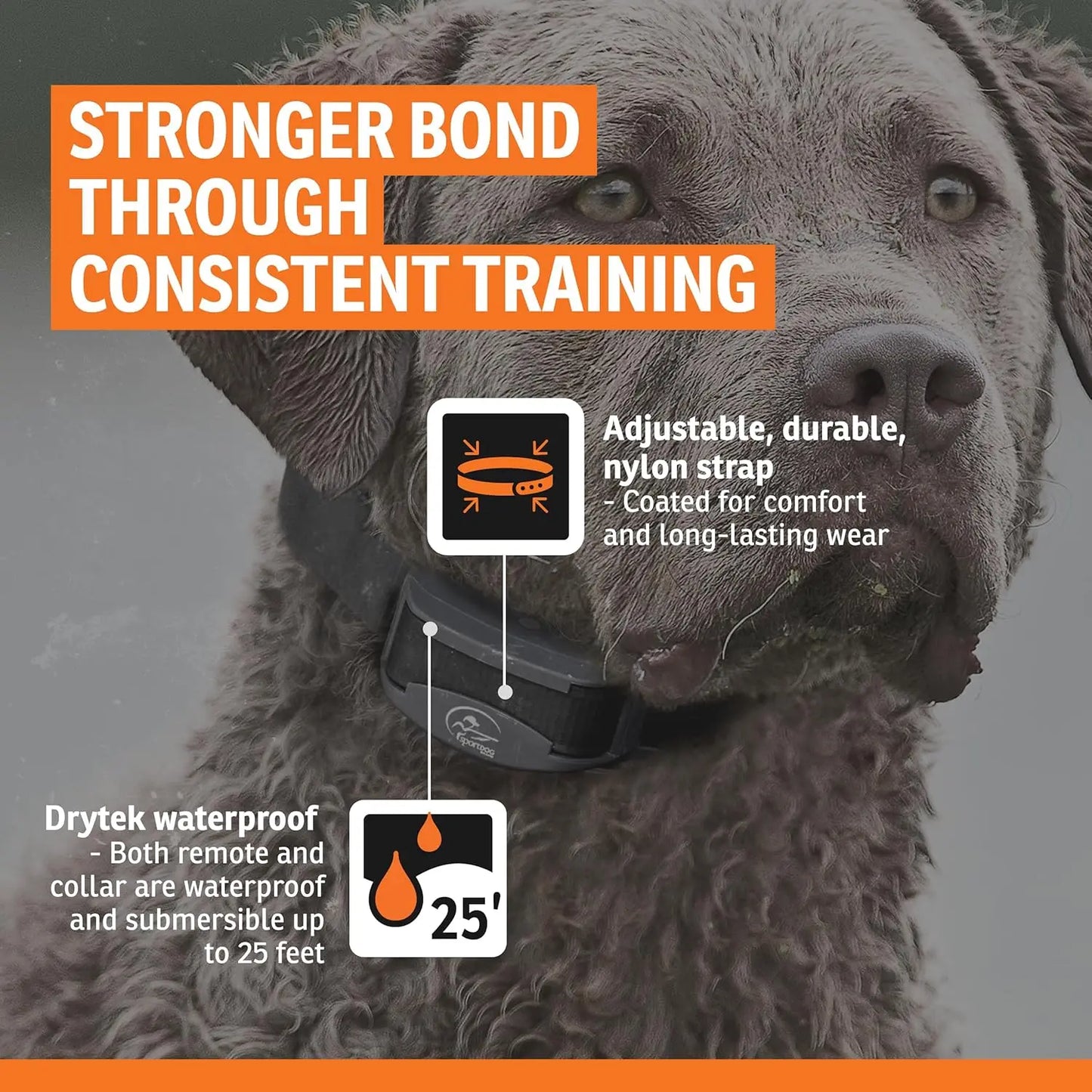 Brand FieldTrainer 425XS Add-A-Dog Collar for Stubborn Dogs - Additional, Replacement, or Extra Collar for Your Remote