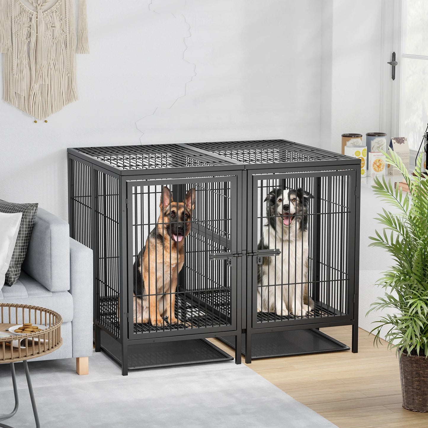 BINGOPAW Heavy Duty Dog Crate With Removable Divider