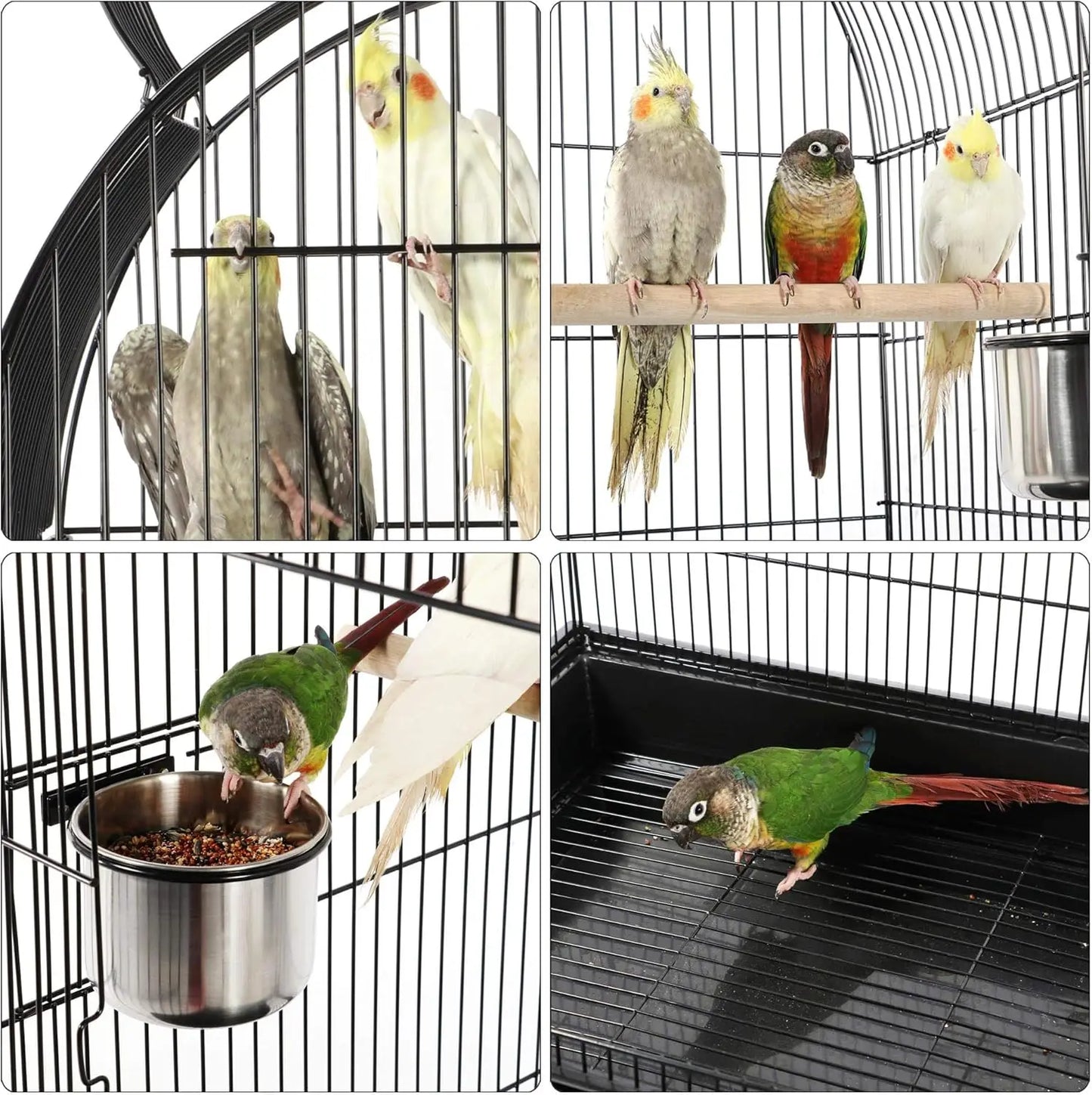 59-Inch Rolling Standing Medium Dome Open Top Bird Cage for Parrots Cockatiels Sun Conures Parakeets